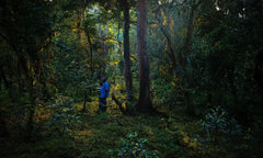 塔特馬拉傳家之寶蜂蜜咖啡豆 250g