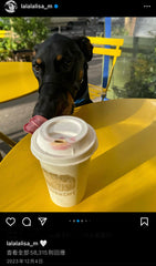 耶加雪菲咖啡豆 250g