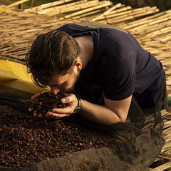 耶加雪菲咖啡豆 250g